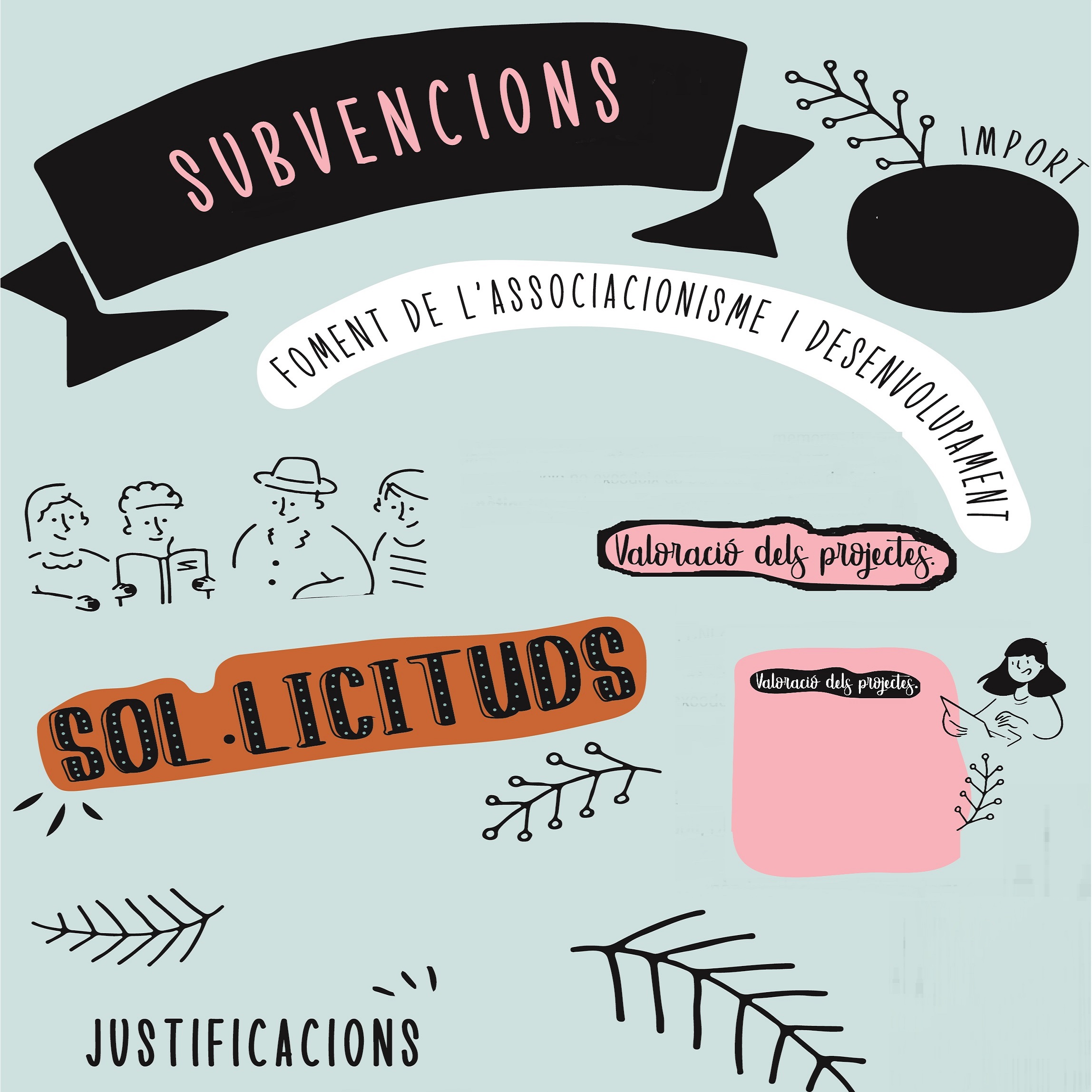 Subvencions