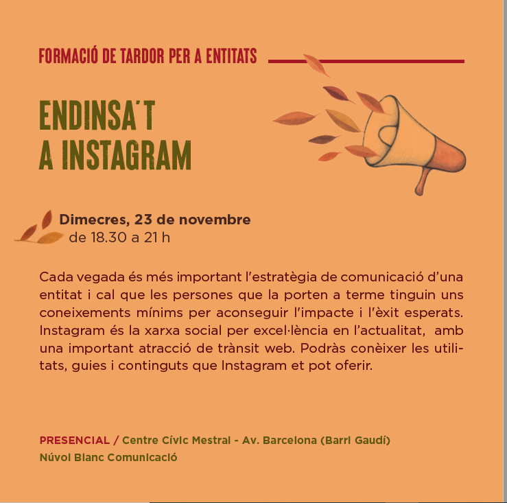 endinsa´t a instagram