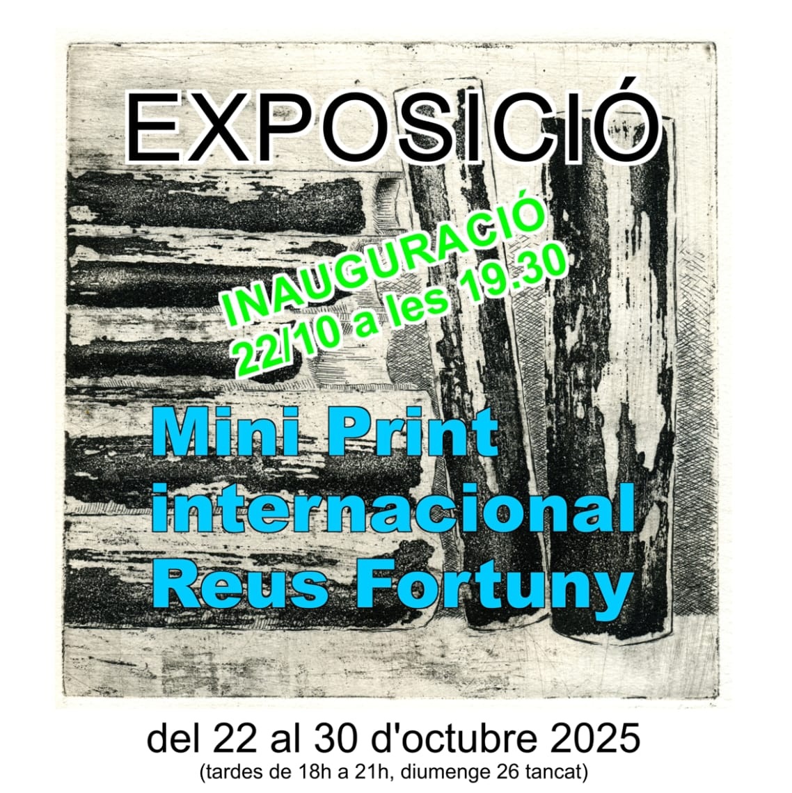 Imatge descriptiva del post