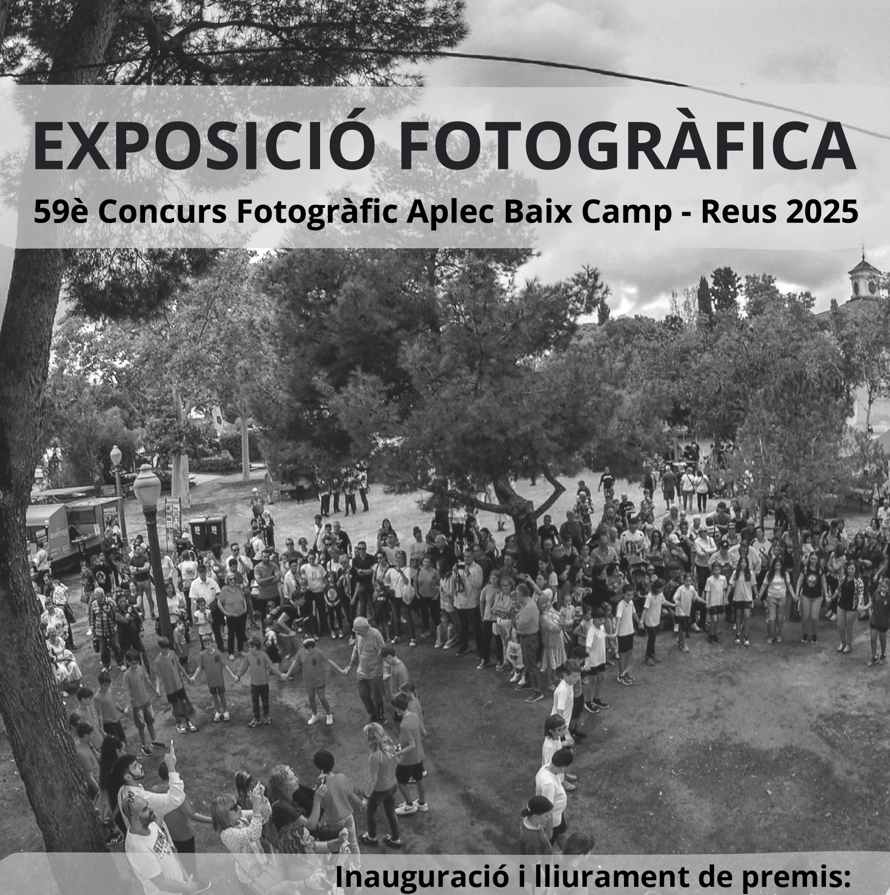 Imatge descriptiva del post