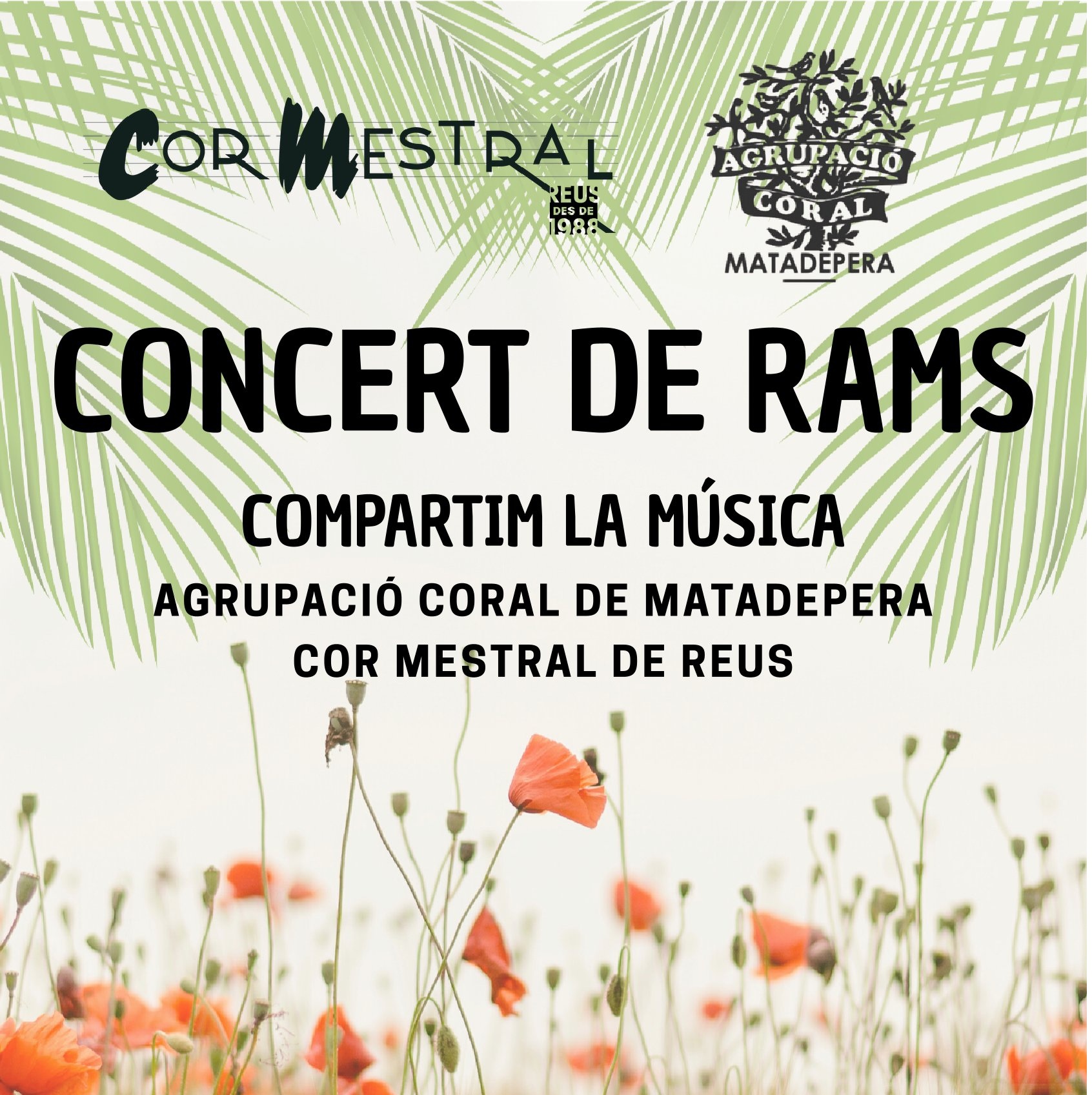 Imatge descriptiva del post