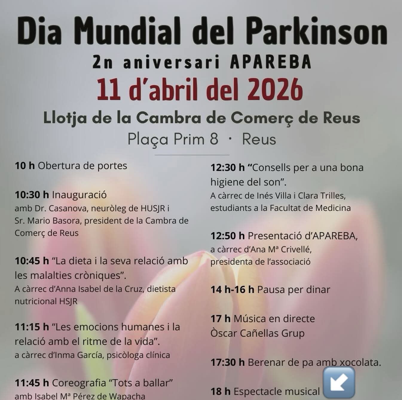 Imatge descriptiva del post