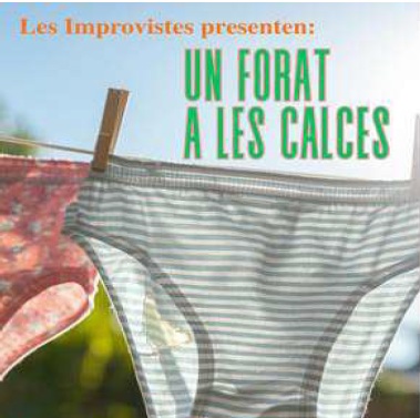 Imatge descriptiva del post